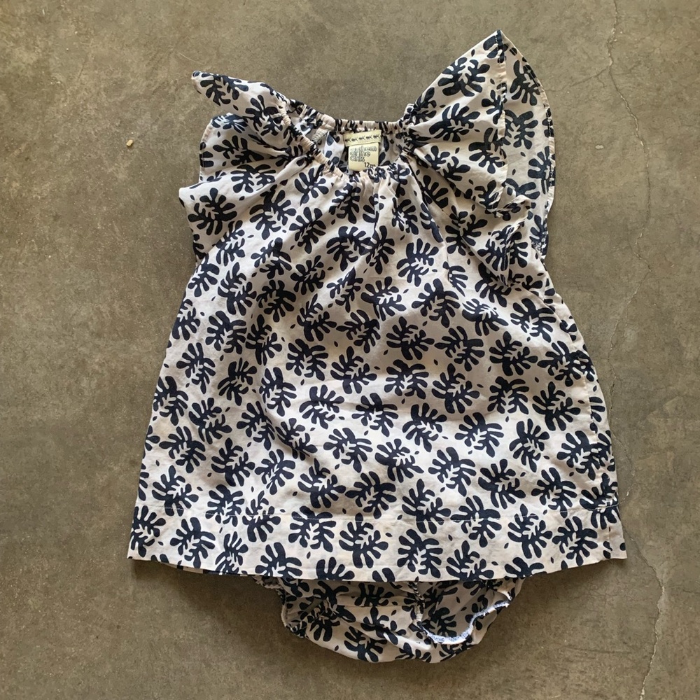 Anthem of the Ants top and bloomers